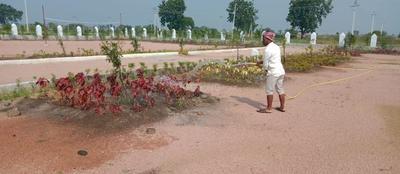 Project Image of 1350.0 - 4500.0 Sq.ft Residential Plot Plot for buy in Green Haritha Vanam