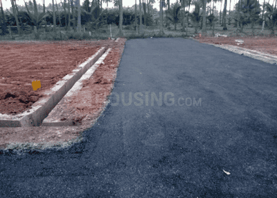 Project Images