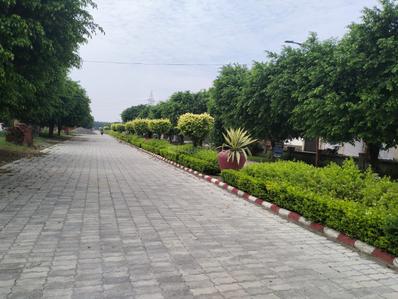 Project Image of 873.0 - 1495.0 Sq.ft Residential Plot Plot for buy in Ansal Town Yamuna Nagar