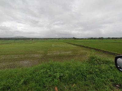 Project Image of 1000.0 - 10000.0 Sq.ft Residential Plot Plot for buy in Farm N Land Panvel