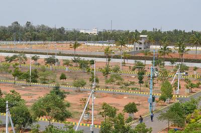 Gallery Cover Pic of SJ Green Meadows