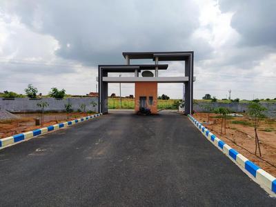 TMR Golden Habitat Elevation 3