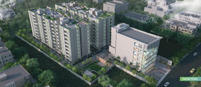 BDS Eternia Elevation 2