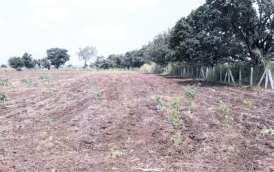 Saakar Real Life Phase I Images for Elevation of Saakar Real Life 1