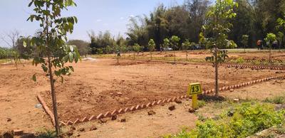 Project Image of 5990.0 - 16335.0 Sq.ft Residential Plot Plot for buy in Adithya DMR Farms