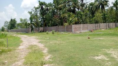 Project Image of 1440.0 - 7200.0 Sq.ft Residential Plot Plot for buy in Bashbhumi Green View