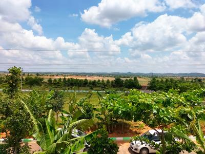 Project Image of 1323.0 - 3600.0 Sq.ft Residential Plot Plot for buy in True The Orchard