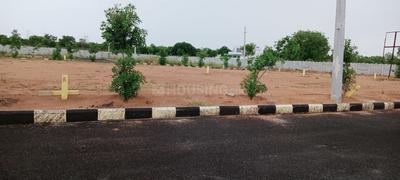 Project Image of 1350.0 - 2799.0 Sq.ft Residential Plot Plot for buy in Invest Sree Nilayam