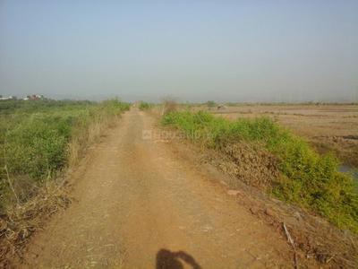 Project Images