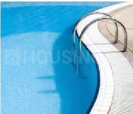Ipsit Paradise Swimming Pool 2