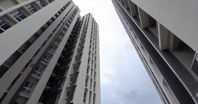 Amistad Elevation 2