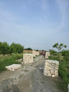 Project Image of 900.0 - 1350.0 Sq.ft Residential Plot Plot for buy in Braj Shree Ji Cottage And Farms