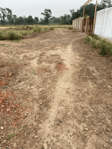 Project Images