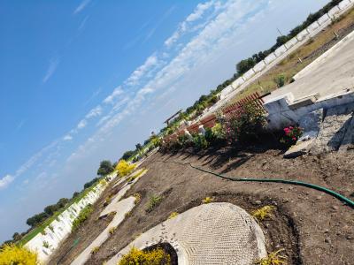 Project Image of 295.9 - 1057.12 Sq.ft Residential Plot Plot for buy in Mahamaya Nagar