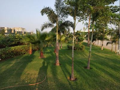 Aarti Ashoka Palm Meadows Phase III