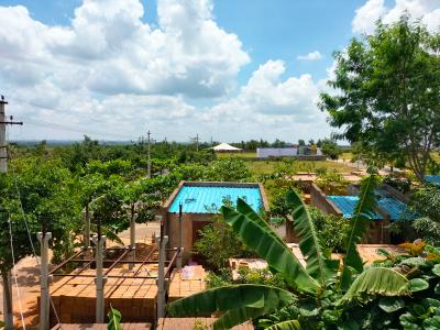 Project Image of 1323.0 - 3600.0 Sq.ft Residential Plot Plot for buy in True The Orchard