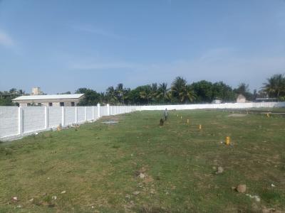 Project Image of 338.0 - 2244.0 Sq.ft Residential Plot Plot for buy in M A M Nagar