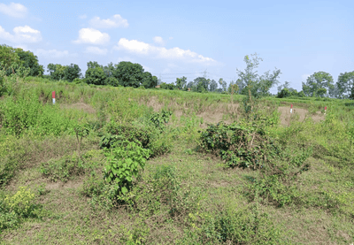 Project Image of 1200.0 - 1925.0 Sq.ft Residential Plot Plot for buy in Redbrick Empire