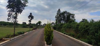 Project Image of 3000.0 - 4000.0 Sq.ft Residential Plot Plot for buy in Svamitva Sylvia City