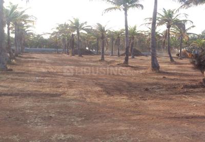 Project Image of 1201.0 - 2713.0 Sq.ft Residential Plot Plot for buy in Sobha Estate