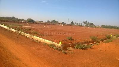 Project Image of 1200.0 - 2400.0 Sq.ft Residential Plot Plot for buy in Shreyas Sunrise