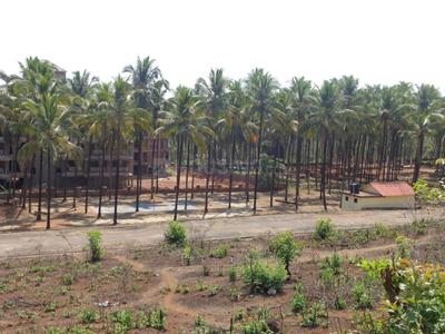 Project Image of 1390.0 - 4145.0 Sq.ft Residential Plot Plot for buy in Emerald Coconut Grove