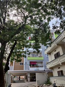 Jupiter Urban Tree Elevation 2
