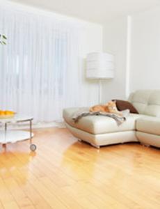 Project Image of 840.0 - 1151.0 Sq.ft 2 BHK Apartment for buy in Ruby Crest