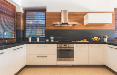 Alpine Primo Kitchen 1