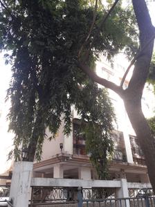 Project Image of 0.0 - 615.0 Sq.ft 2 BHK Apartment for buy in Ajanta CHS