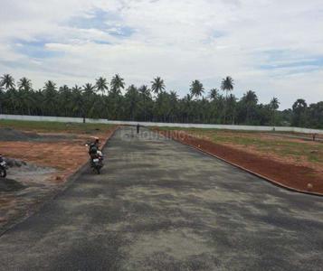 Project Images