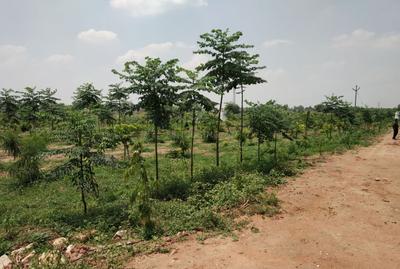 Project Image of 8028.0 - 21609.0 Sq.ft Residential Plot Plot for buy in Vardhan Prakruthi Vanam