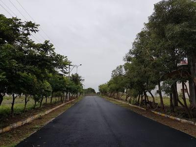 Project Image of 1503.0 - 4800.0 Sq.ft Residential Plot Plot for buy in Vensha Asian Township