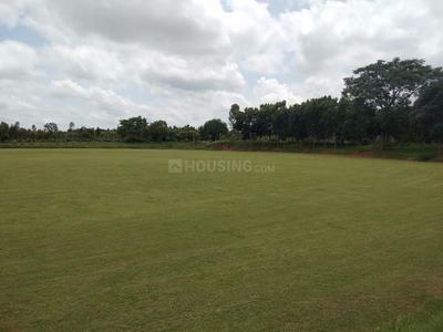 Project Image of 5990.0 - 16335.0 Sq.ft Residential Plot Plot for buy in Adithya DMR Farms