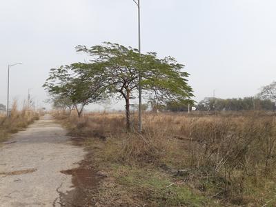 Ansal API Plot Zone I 3B 4A 4B Elevation 1