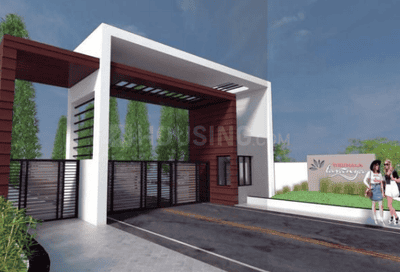Project Images