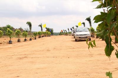 Project Image of 1350.0 - 9000.0 Sq.ft Residential Plot Plot for buy in LNR Sree Yadadri Township