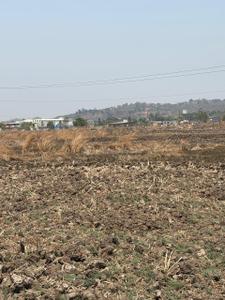 Project Image of 1000.0 - 10000.0 Sq.ft Residential Plot Plot for buy in Invest Mahamumbai Plots In Khopate