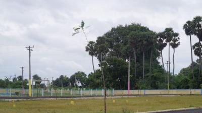 Project Image of 900.0 - 1800.0 Sq.ft Residential Plot Plot for buy in Pooja Life Sri Kumaran Heritage Phase 2