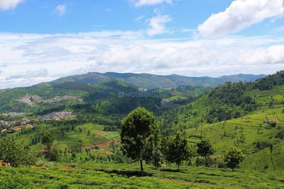 Project Image of 1000.0 - 15260.0 Sq.ft Residential Plot Plot for buy in Lushbergs