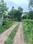 Suchandra Green City Society Internal Roads & Footpaths 1
