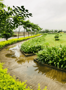 Project Image of 268.77 - 11657.96 Sq.ft 2 BHK Apartment for buy in Wallfort Wood Phase II