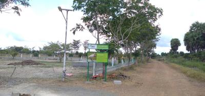 Project Image of 9800.0 - 10500.0 Sq.ft Residential Plot Plot for buy in RWD Ibis County
