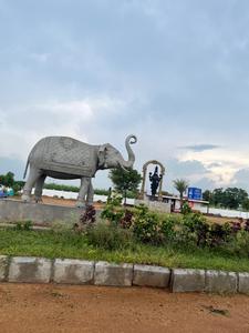 Project Image of 1350.0 - 4500.0 Sq.ft Residential Plot Plot for buy in Indo Qatar Srinivasam