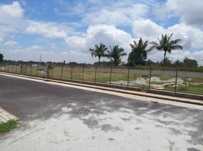 Project Image of 1200.0 - 2400.0 Sq.ft Residential Plot Plot for buy in Millennia Burgundy Orchards
