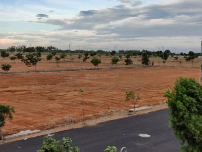 Project Image of 498.0 - 5250.0 Sq.ft Residential Plot Plot for buy in Emami Aerocity