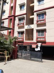 Project Image of 1125.0 - 1400.0 Sq.ft 2 BHK Apartment for buy in Pavani Chandana