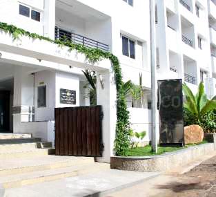 Project Image of 1190.0 - 2065.0 Sq.ft 2 BHK Apartment for buy in Alekhya Earth Song