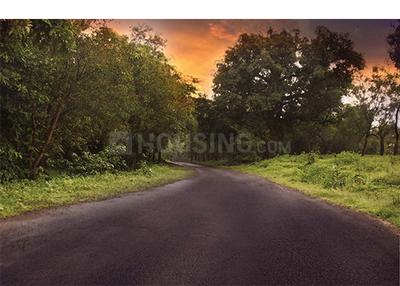 Project Image of 21780.0 - 43560.0 Sq.ft Residential Plot Plot for buy in Serenity Villas and Farms