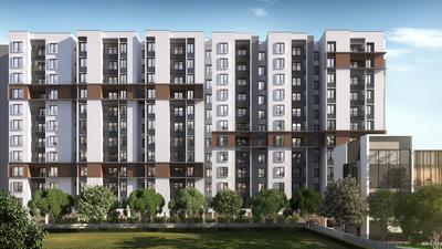 Ruby Courtyard Elevation 1